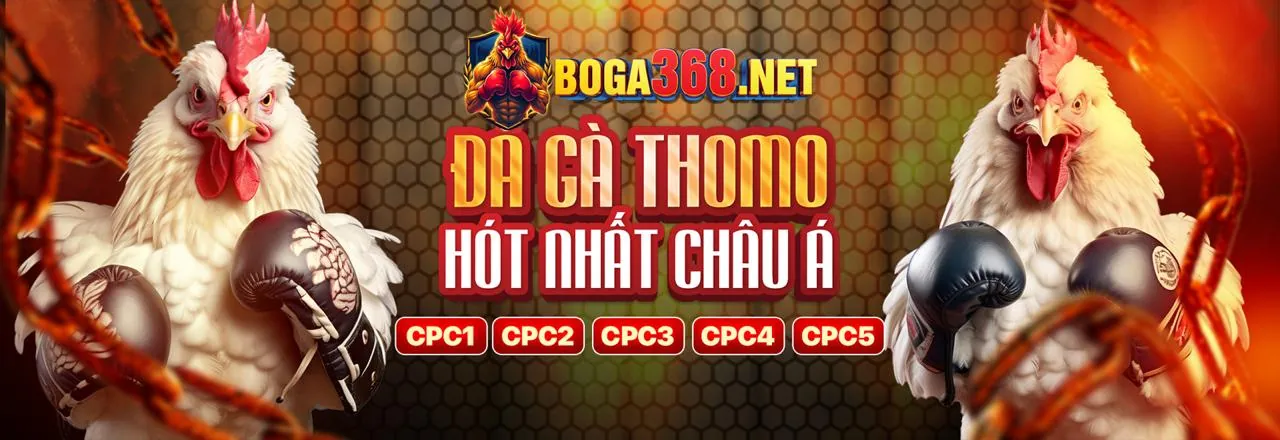 Hình ảnh bài viết nổi bật về tối ưu hóa trải nghiệm cá cược hdbet 88