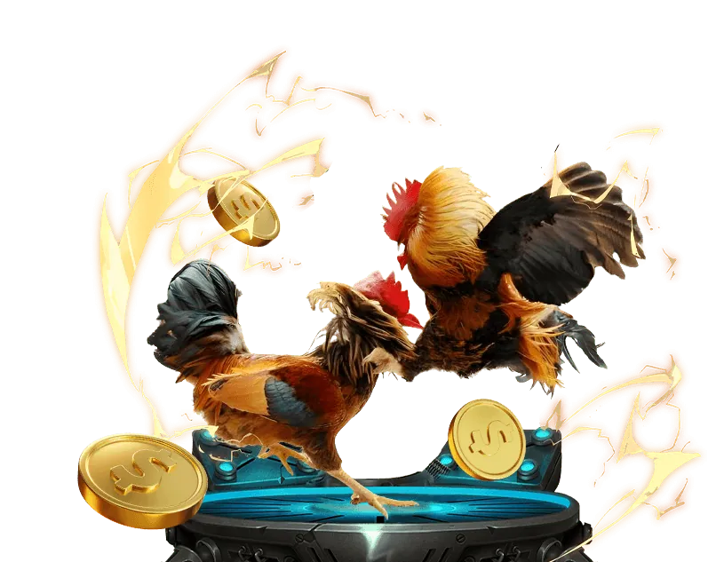 Liên hệ bộ phận hỗ trợ của hdbet 88